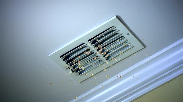 Best Affordable Duct Cleaning Services  in Hialeah, FL
