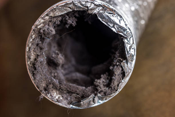 Best Affordable Air Duct Cleaning  in Hialeah, FL